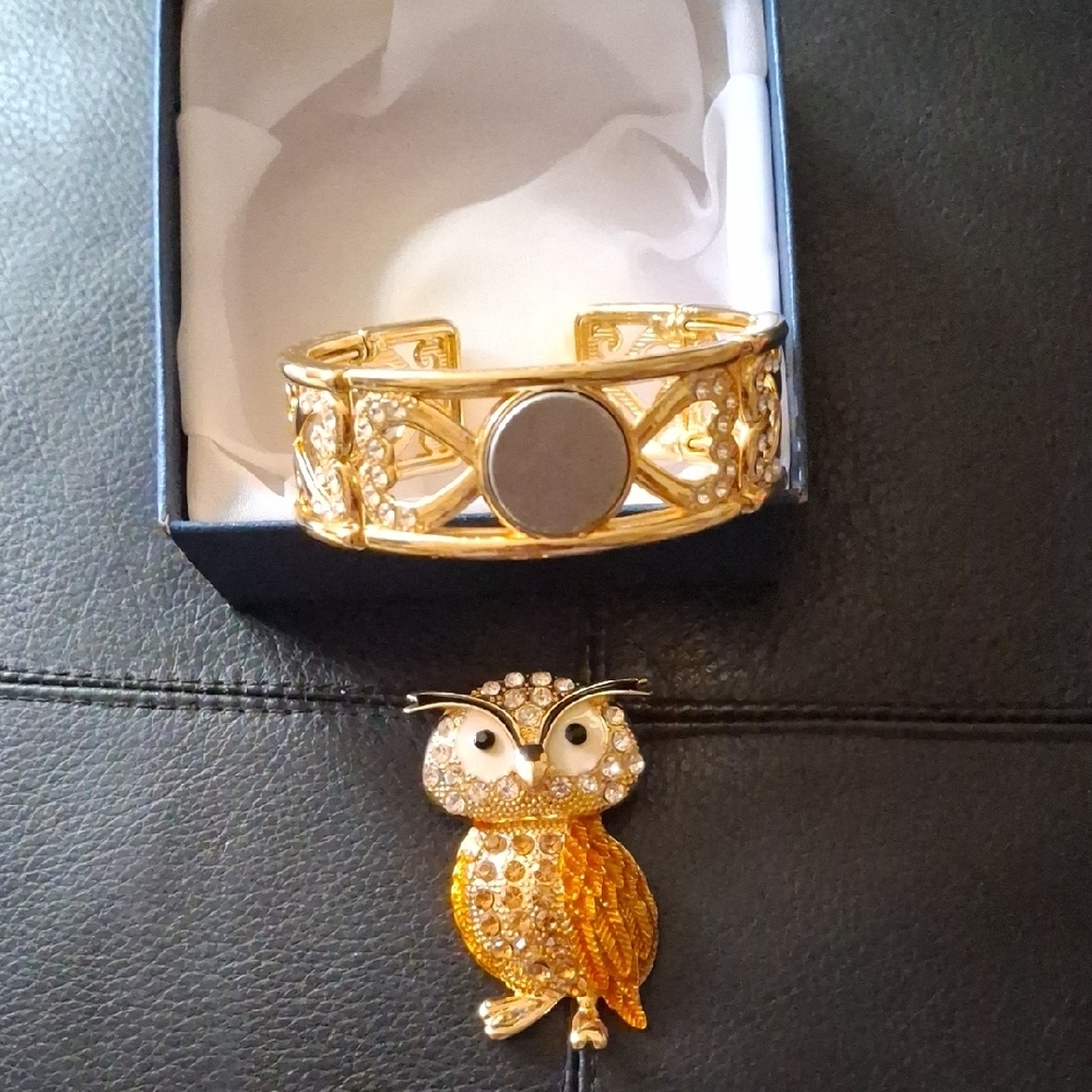 Gold and Diamond  Owl Brooch and Bracelet Set